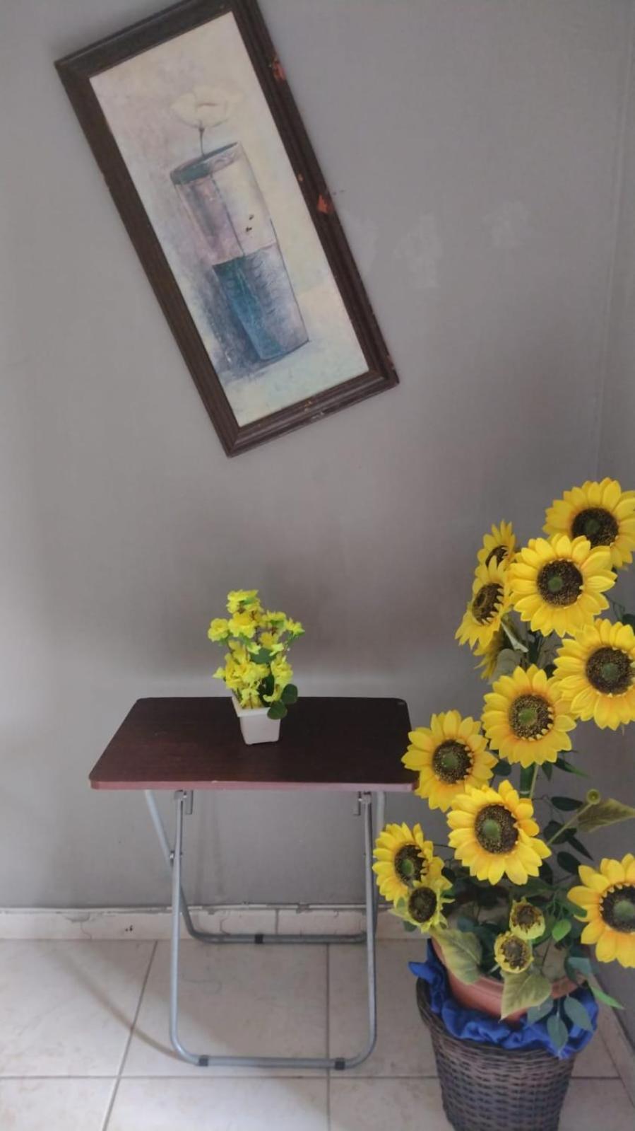 Olympios House Hostal *